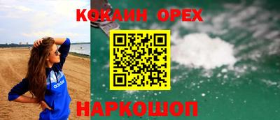 гашик Славгород