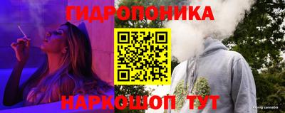 гашик Славгород