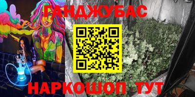 гашик Славгород